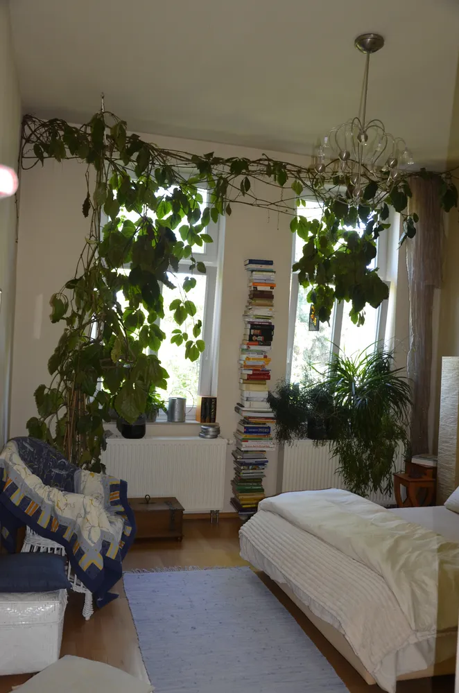 5 Zimmer Wohnung mit 142 m² in Erfurt – Bild 7