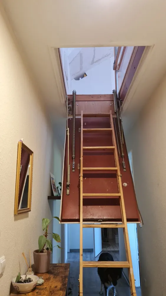 3 Zimmer Wohnung mit 77 m² in Osnabrück – Bild 12