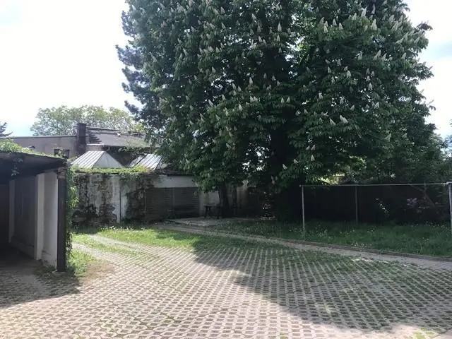 Studio mit 34 m² in Chemnitz – Bild 6