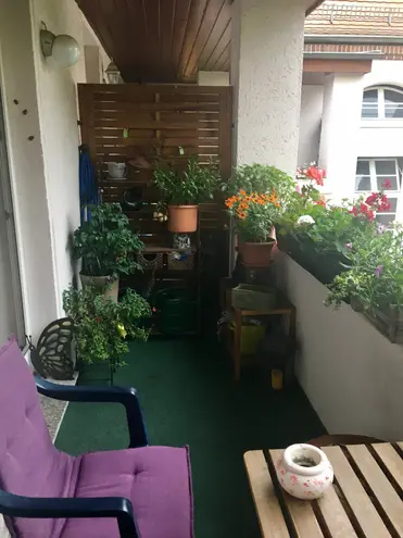 2 Zimmer Wohnung mit 51 m² in Leipzig – Bild 4