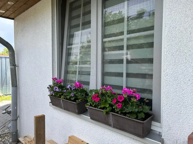 4 Zimmer Wohnung mit 90 m² in Paderborn – Bild 2