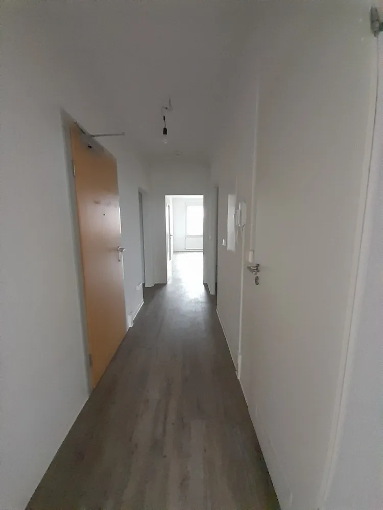 3 Zimmer Wohnung mit 62 m² in Dresden – Bild 4