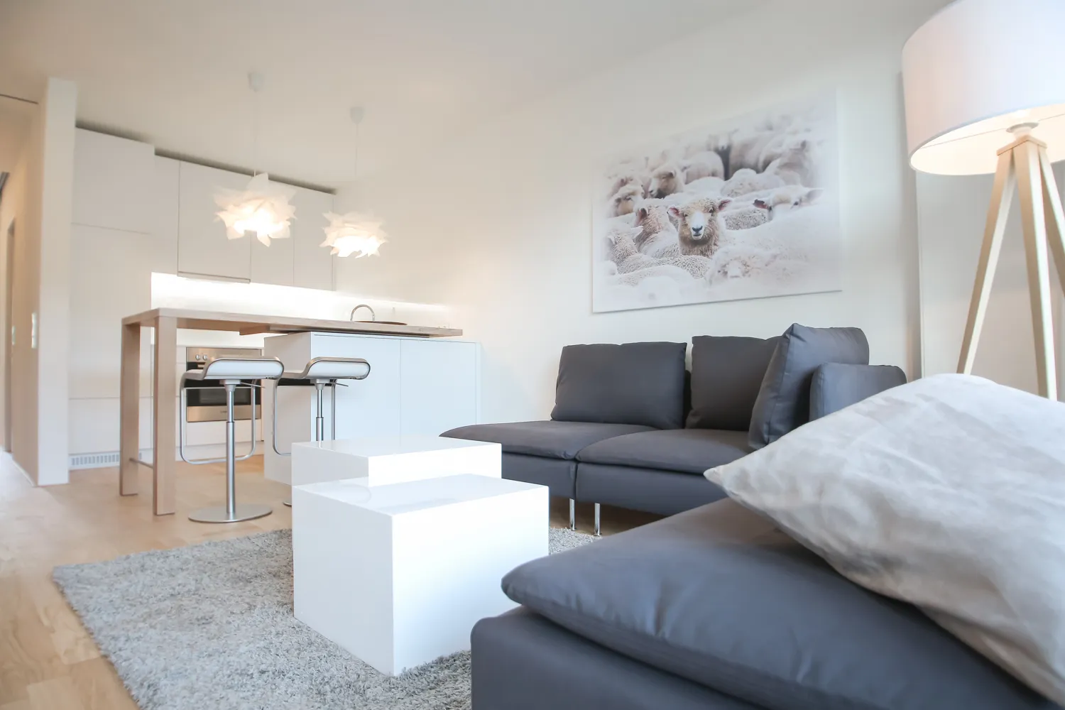 2 Zimmer Wohnung mit 44 m² in Freiburg im Breisgau – Bild 3