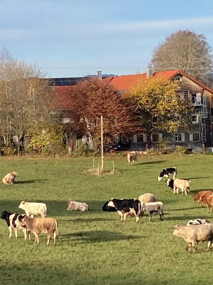 7 Zimmer Wohnung mit 220 m² in Kempten – Bild 5