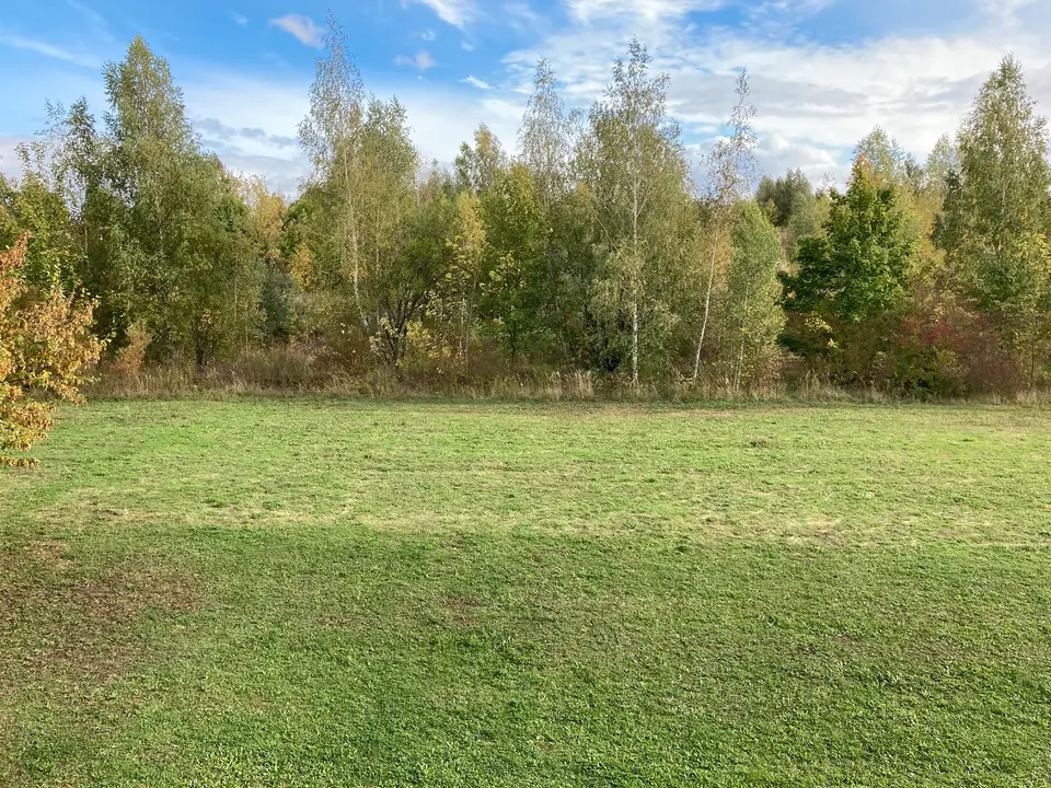 2 Zimmer Wohnung mit 37 m² in Gera – Bild 6