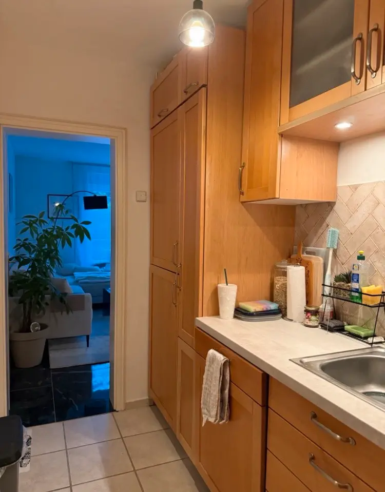 2 Zimmer Wohnung mit 50 m² in Potsdam – Bild 3