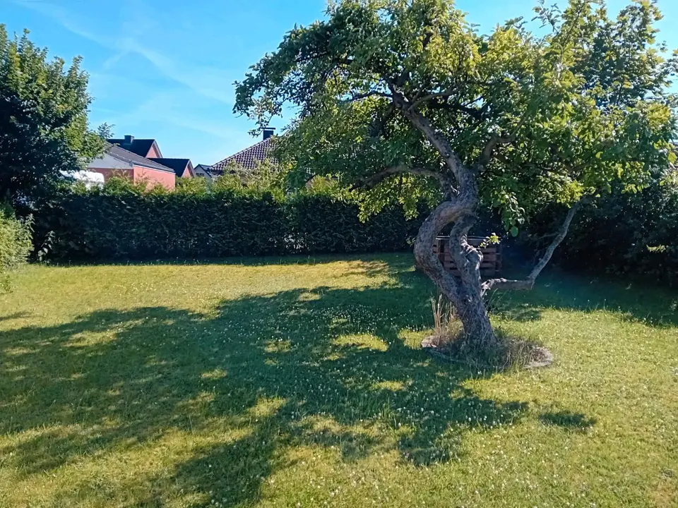 3 Zimmer Haus mit 106 m² in Flensburg – Bild 6