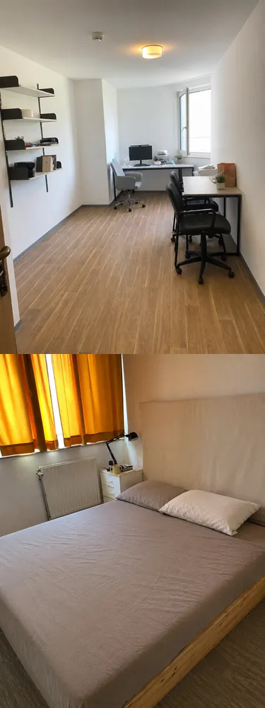 2 Zimmer Wohnung mit 30 m² in Mainz – Bild 1