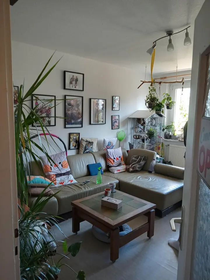 2 Zimmer Wohnung mit 44 m² in Greifswald – Bild 1