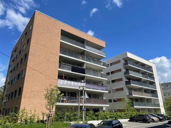 5 Zimmer Wohnung mit 126 m² in Dresden – Bild 9