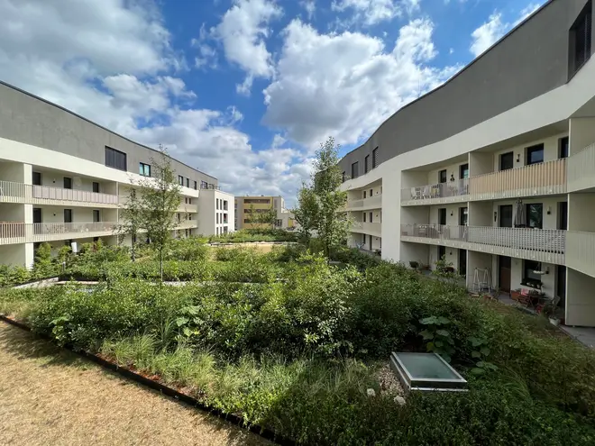 3 Zimmer Wohnung mit 114 m² in Dresden – Bild 10