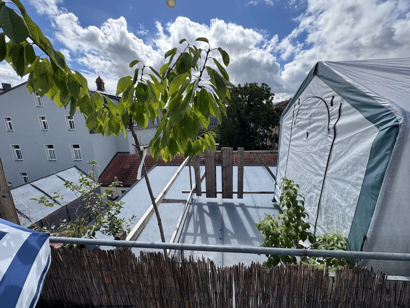 4 Zimmer Wohnung mit 119 m² in Regensburg – Bild 11