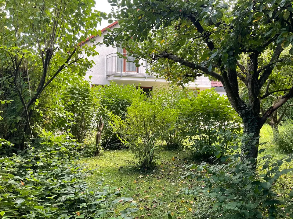 Studio mit 35 m² in Ulm – Bild 4