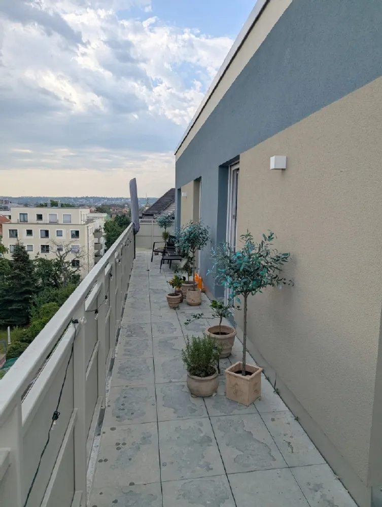 4 Zimmer Wohnung mit 132 m² in Dresden – Bild 3