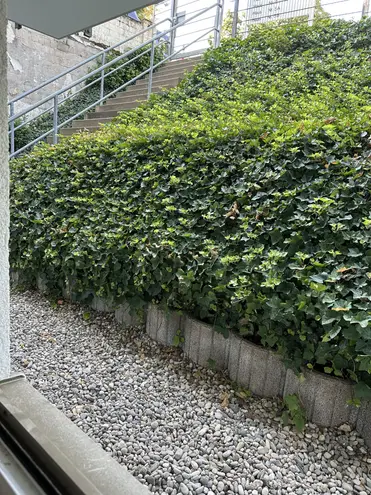 1 Zimmer Wohnung mit 44 m² in Mainz – Bild 9