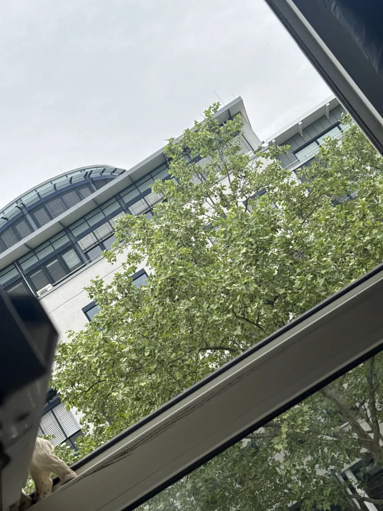 5 Zimmer Wohnung mit 105 m² in Ludwigshafen am Rhein – Bild 2