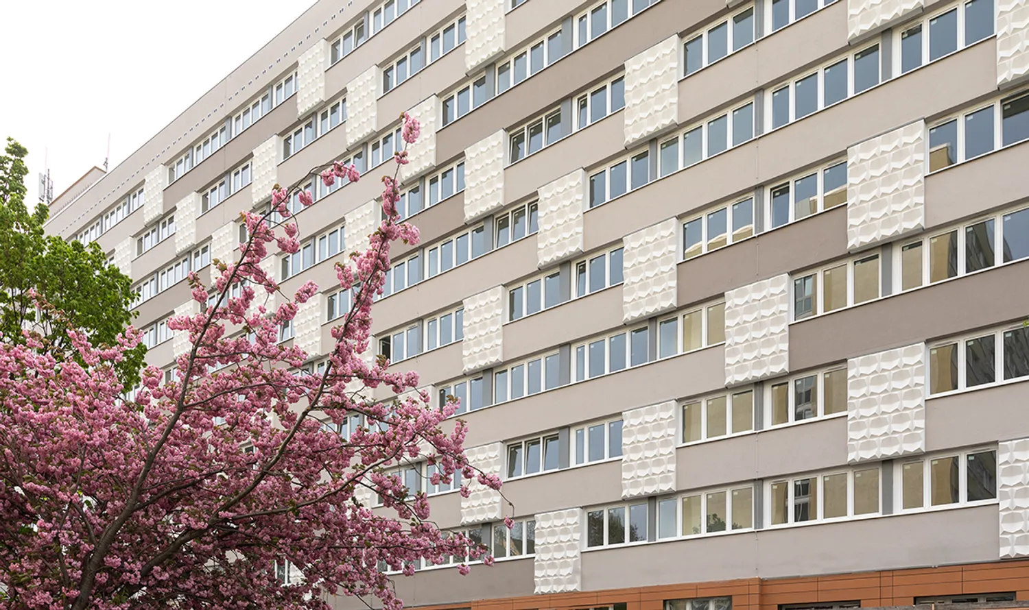 2 Zimmer Wohnung mit 50 m² in Leipzig – Bild 1