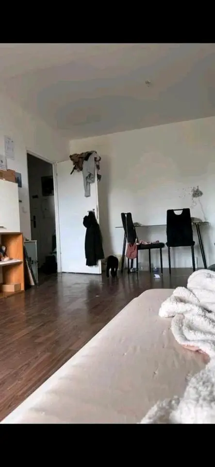 2 Zimmer Wohnung mit 34 m² in Frankfurt (Oder) – Bild 1