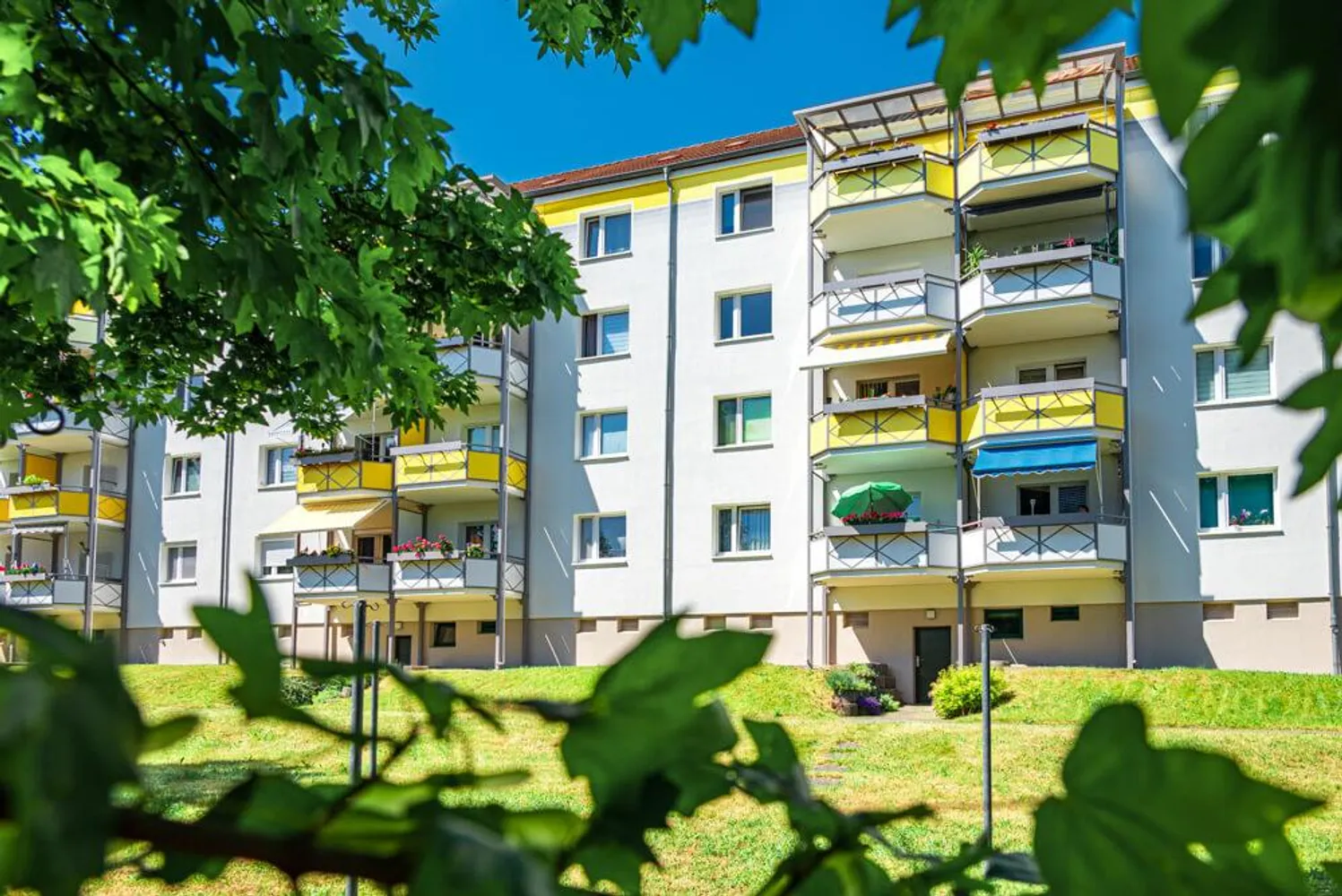 3 Zimmer Wohnung mit 61 m² in Zwickau – Bild 1