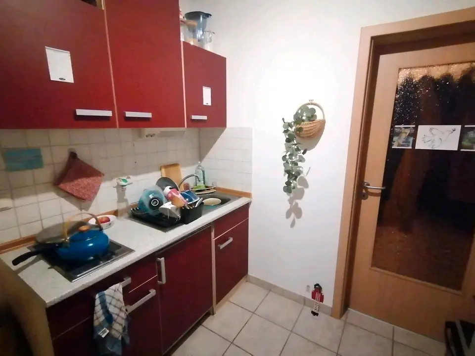 2 Zimmer Wohnung mit 36 m² in Greifswald – Bild 3