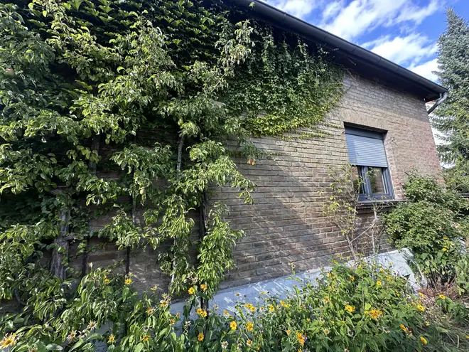 8 Zimmer Haus mit 150 m² in Paderborn – Bild 7