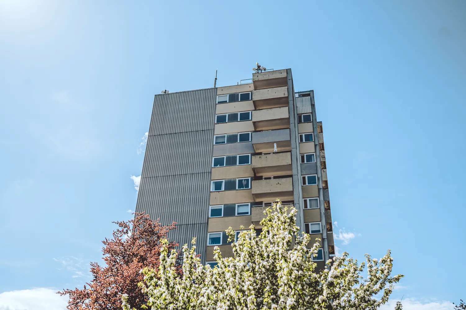 3 Zimmer Wohnung mit 68 m² in Flensburg – Bild 1