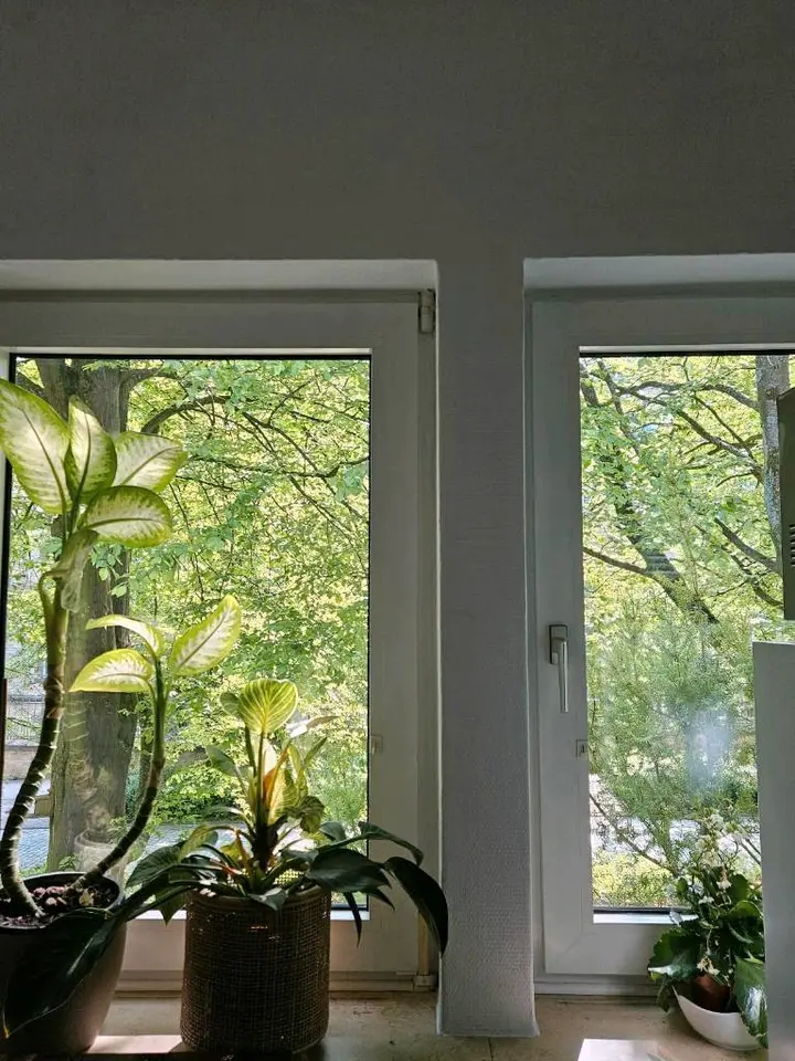 Studio mit 14 m² in Osnabrück – Bild 6