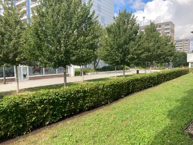 2 Zimmer Wohnung mit 53 m² in Erfurt – Bild 1