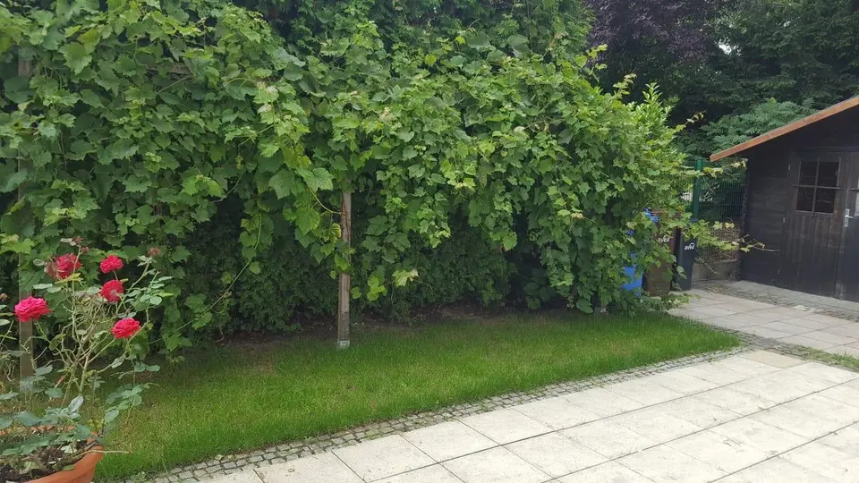 12 Zimmer Haus mit 300 m² in Remscheid – Bild 9