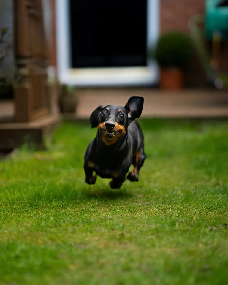 5 Zimmer Haus mit 136 m² in Detmold – Bild 7
