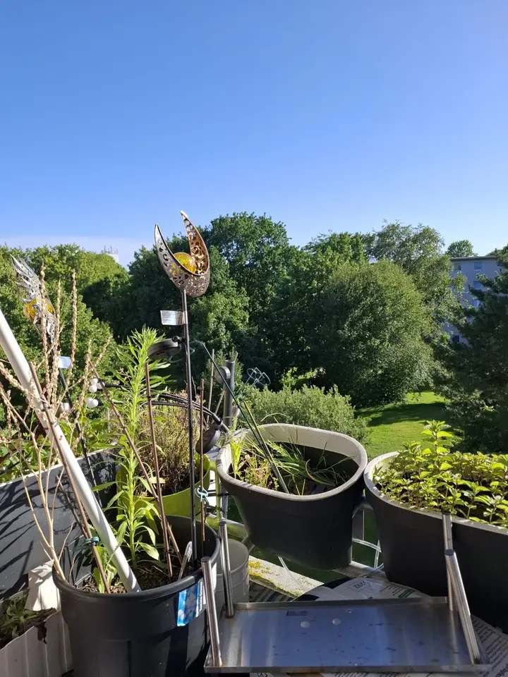 3 Zimmer Wohnung mit 61 m² in Bremerhaven – Bild 3