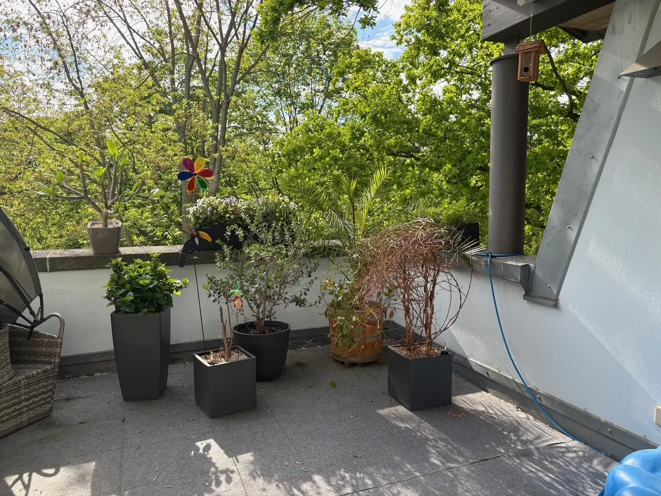 5 Zimmer Wohnung mit 195 m² in Dresden – Bild 9