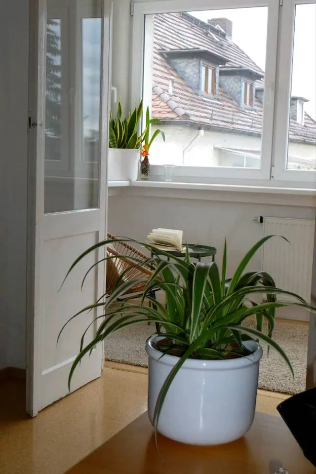 WG-Zimmer mit 55 m² in Kassel – Bild 10