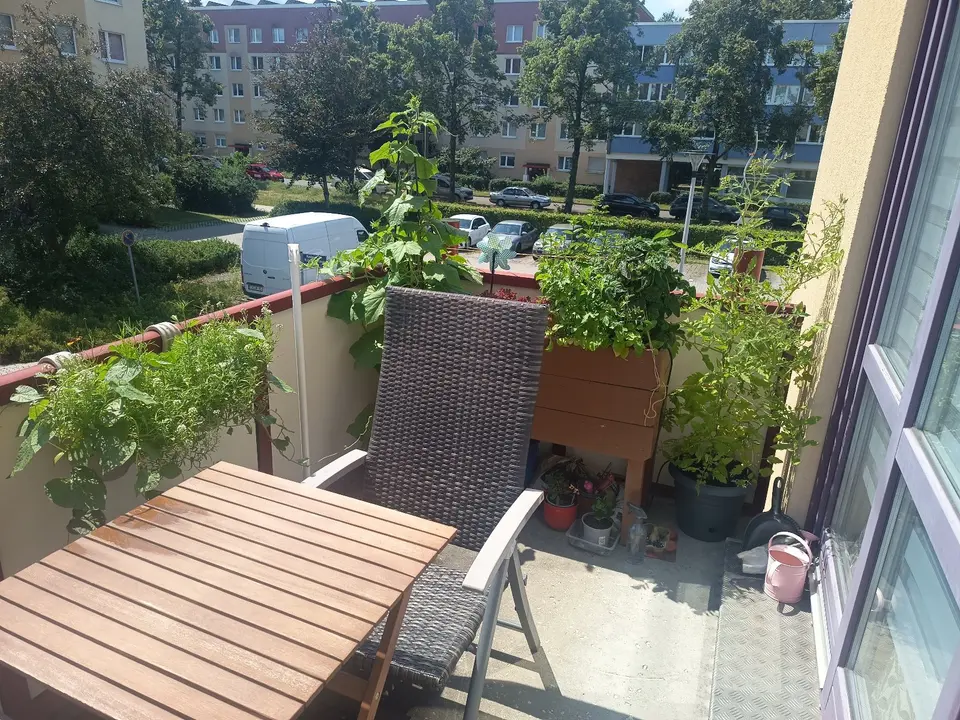 2 Zimmer Wohnung mit 48 m² in Cottbus – Bild 7
