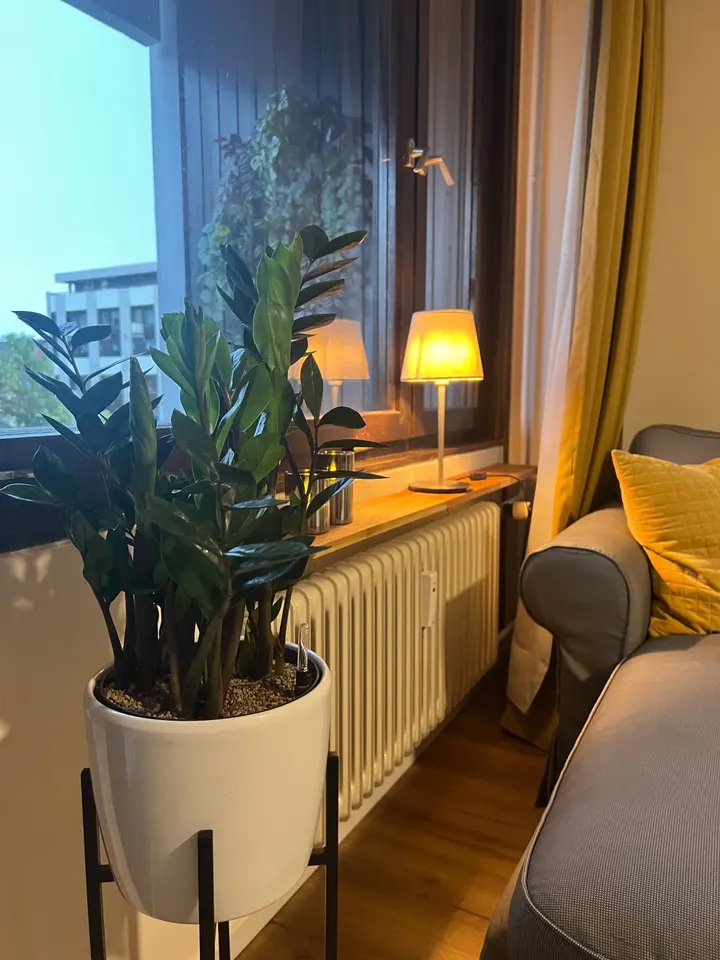 WG-Zimmer mit 35 m² in Karlsruhe – Bild 3