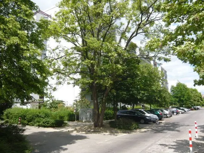 3 Zimmer Wohnung mit 70 m² in Berlin – Bild 8