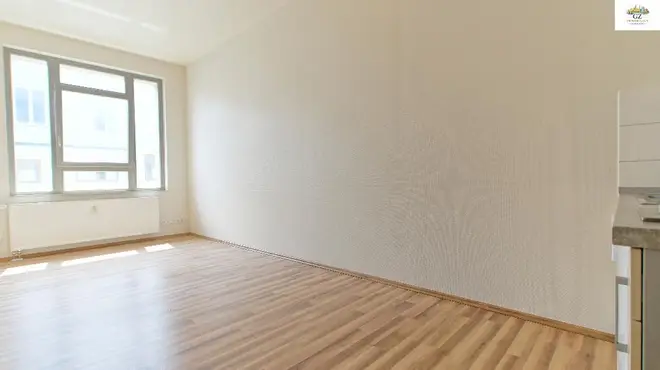 1 Zimmer Wohnung mit 32 m² in Dresden – Bild 1