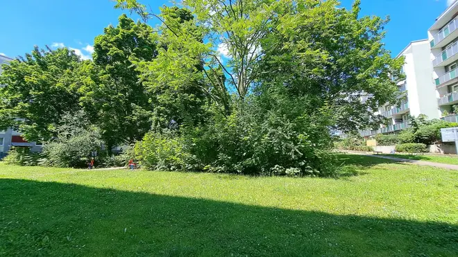 2 Zimmer Wohnung mit 56 m² in Magdeburg – Bild 2