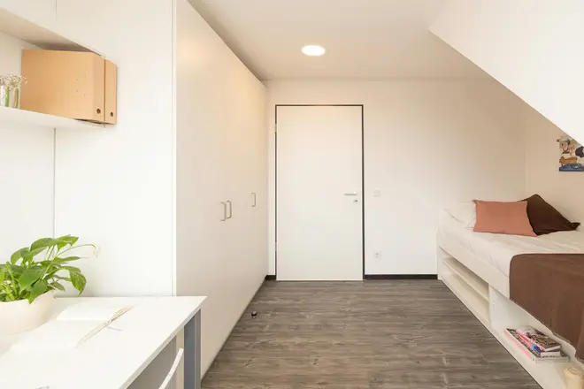 WG-Zimmer mit 10 m² in Münster – Bild 3