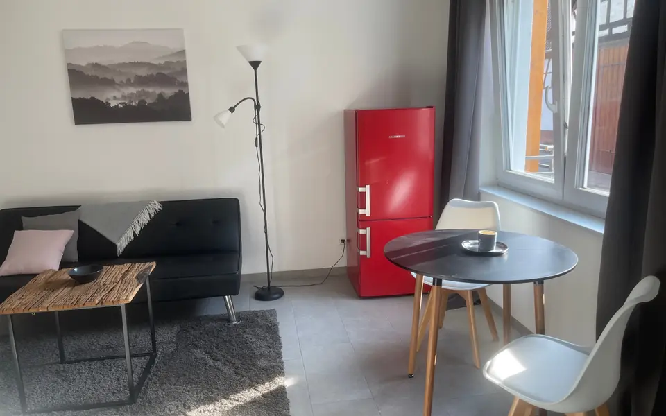 WG-Zimmer mit 38 m² in Vaihingen an der Enz – Bild 1