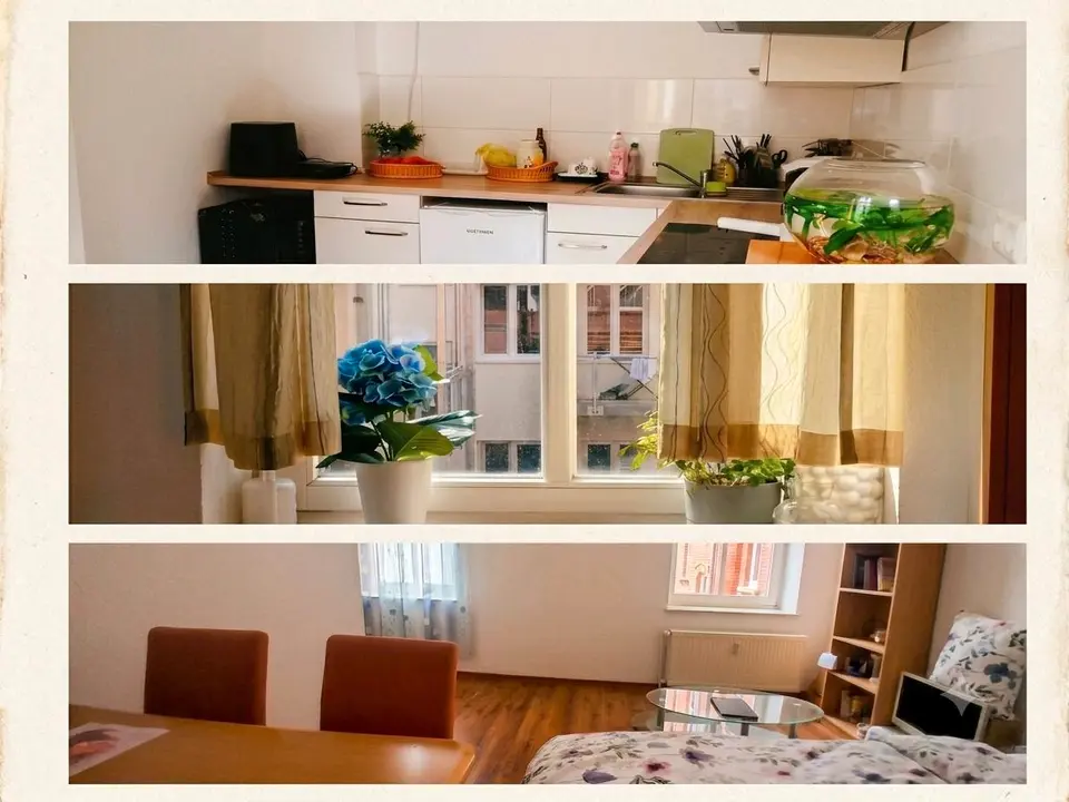 2 Zimmer Wohnung mit 32 m² in Magdeburg – Bild 5