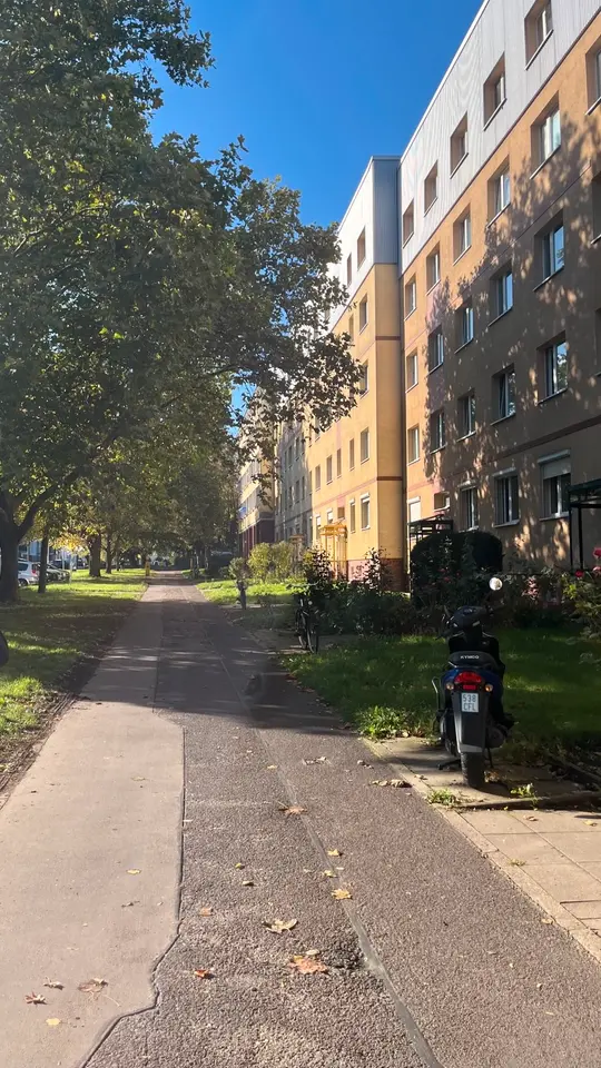2 Zimmer Wohnung mit 32 m² in Magdeburg – Bild 9