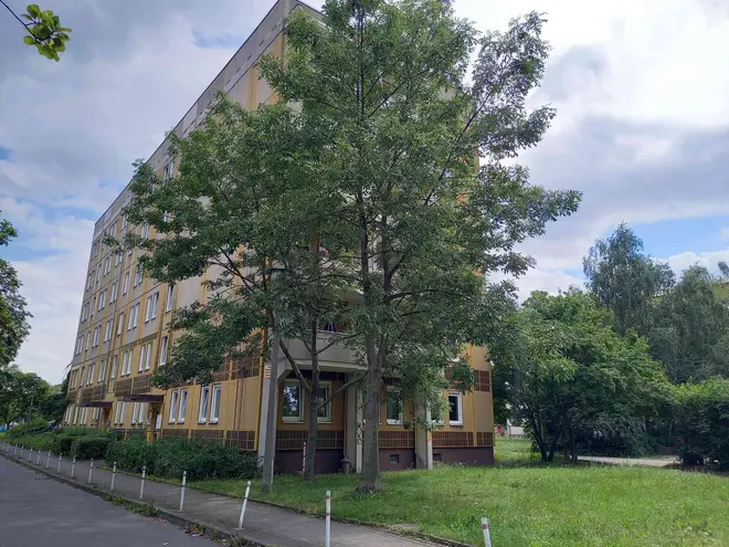 3 Zimmer Wohnung mit 66 m² in Dresden – Bild 1