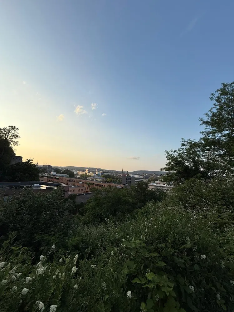 5 Zimmer Wohnung mit 220 m² in Saarbrücken – Bild 1
