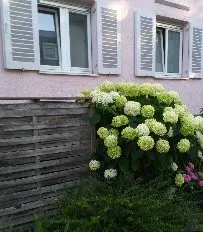 2 Zimmer Wohnung mit 48 m² in Bamberg – Bild 3