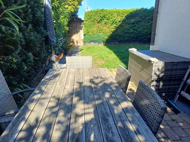 5 Zimmer Haus mit 150 m² in Dortmund – Bild 5