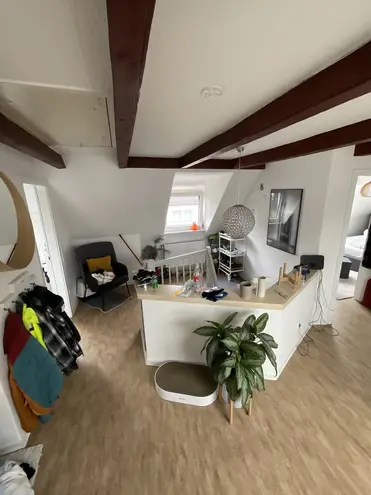 2 Zimmer Wohnung mit 47 m² in Kassel – Bild 3