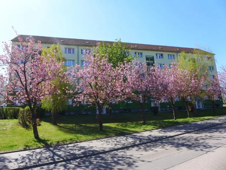 3 Zimmer Wohnung mit 57 m² in Limbach-Oberfrohna – Bild 3