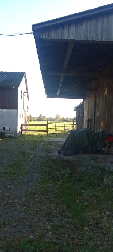 3 Zimmer Haus mit 100 m² in Bremerhaven – Bild 3