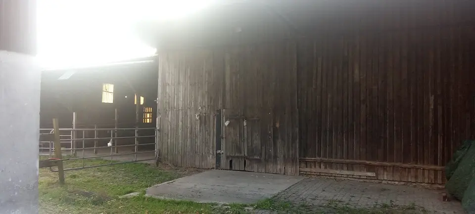 3 Zimmer Haus mit 100 m² in Bremerhaven – Bild 4